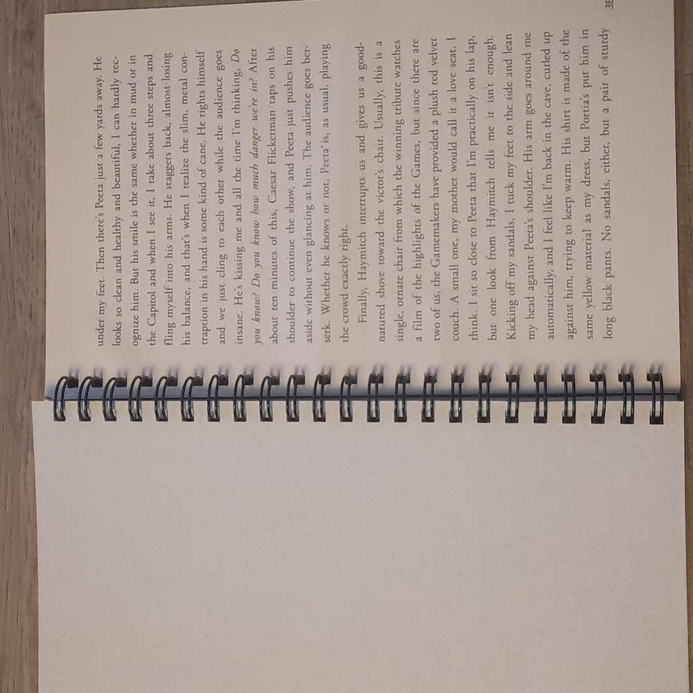 Secret Journal " The Hunger Games" Handmade journal - Picture 5 of 7